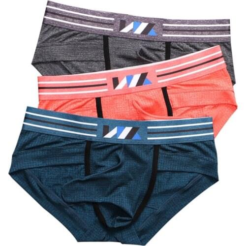 4PCS/Lots Mens Underwear Lingerie Elephant Penis Pouch Briefs Ropa Interior Hombre Ice Silk Thongs Cueca Gay Panties Plus Size