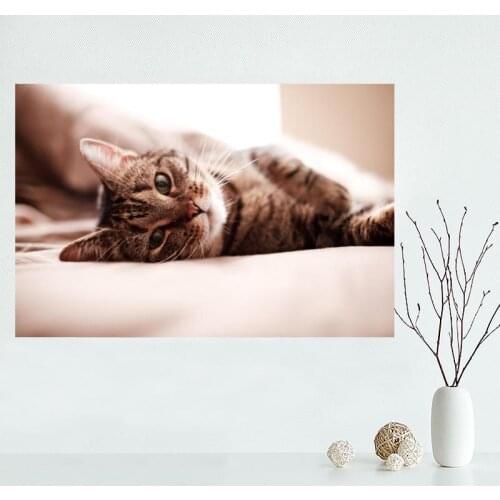Nice Custom Animal Lovely Cat Canvas Poster Print painting Art Wall Silk Poster cloth print Fabric Poster