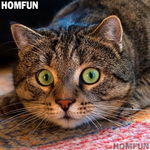 HOMFUN Full Square/Round Drill 5D DIY Diamond Painting "Animal cat" 3D Embroidery Cross Stitch 5D Home Decor A01621