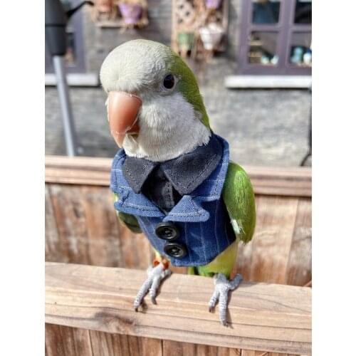 Parrot clothing bird supplies tiger skin peony suit pet supplies coat cowboy coat pet clothing various sizes customization