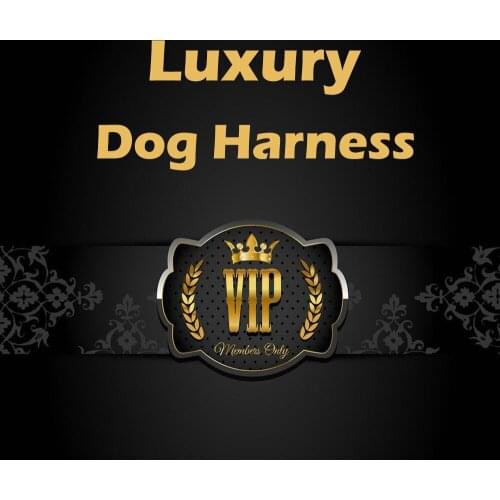 VIP Link Wholesale Dog Harness Cute Luxury Dogs Harness Contact Seller for More Details