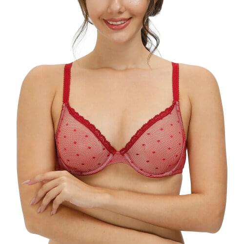 VOGUE Secret Mesh Sexy Women Bra Dot Lace Hollow Thin See Through Gauze Plus Size 32 34 36 38 40 42 44 A B C D DD E DDD F
