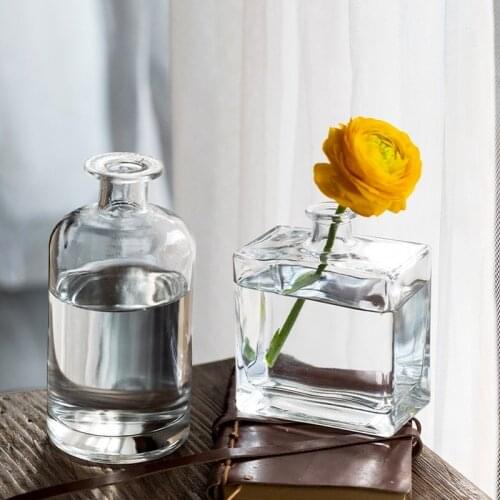 Transparent Small Vases Living Room Dried Flowers Nordic Ins Style Thick Glass Dill Home Decoration Accessories Flower Vases