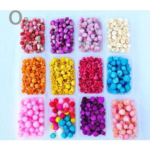 Colorized Natural Dried Artificial Flowers Heads Fruit for Needlework and Handicraft Accessories DIY House Garland Nursery Decor