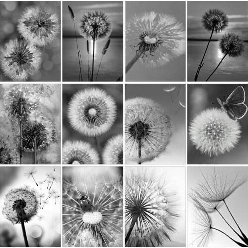 SHAYI DIY 5D Diamond Painting Dark Dandelion Flower Scenery Embroidery Cross Stitch Full Square/Round Drill Decor Painting