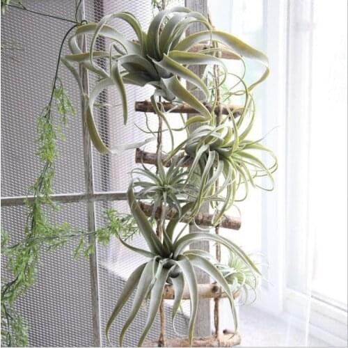 Artificial Air Grass Tillandsia Succulent Pineapple Leaf Flocked Fake Plant Table Flower Wedding Bouquet Decoration