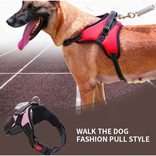 Dog Harness and Leash Set Dog Leads Dog Harness Pet Supplies Dog Collar Dogs Pets Accessories Dog Chain Personalised Dog Collar