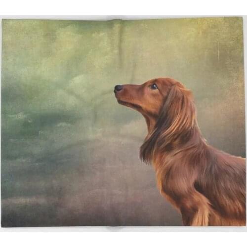 Dachshund Cartoon Throws for Sofa Cute Kids Design Dog breed long haired Blankets Christmas Decorations for Home Custom Blanket