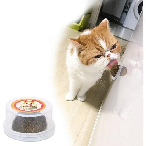 Cat Toys For Kitten Edible Treating Cleaning Teeth Natural Catnip Toys Pet Accessorries Cats Crazy Healthy Products
