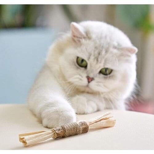 Wear-resistance Pragmatic Cat Teether Chew Sticks Long Service Life Cat Teething Toy Sturdy for Stress Release