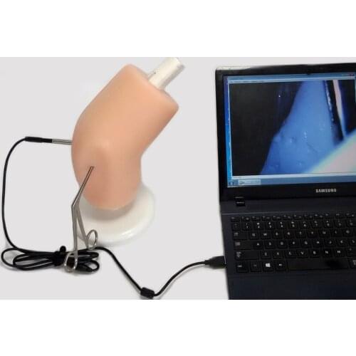 Simulator for arthroscope, arthroscopic training instrument,knee model,7mm training camera
