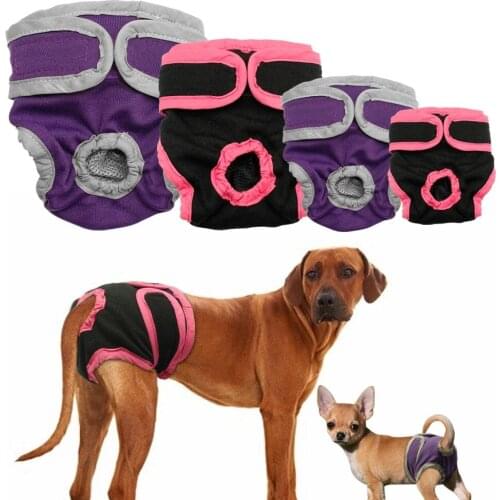 Female Dog Shorts Puppy Physiological Pants Diaper Pet Underwear For Small Meidium Girl Dogs