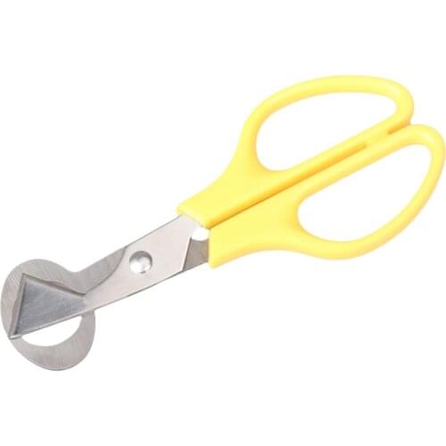 Quail Egg Scissors Bird Egg Scissors Stainless Steel Egg Cutters Eggshell Cutters Egg Opener Kitchen Hand Tools Scissors