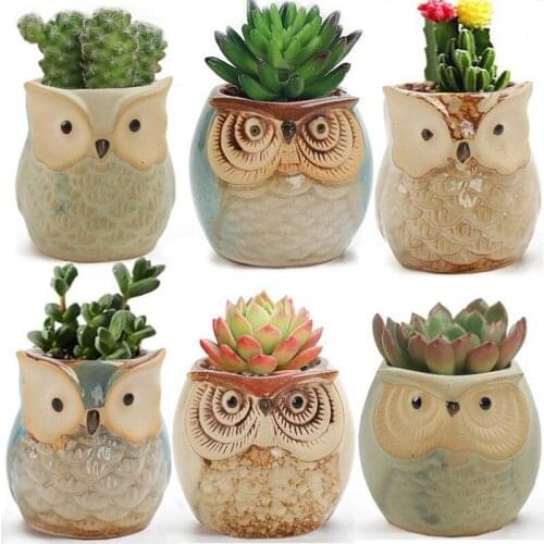 New Owl Animal Ceramic Small Flowerpots Multi-meat Flower Pot Personality Ceramic Crafts Office Home Decoration