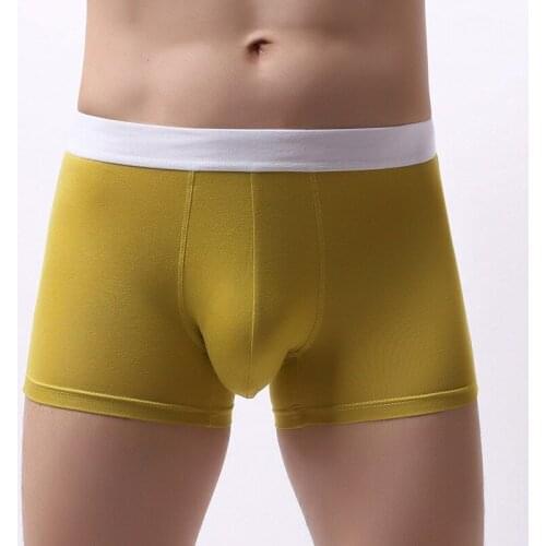 Sexy Men Underwear Boxer Shorts Modal Panties Man Breathable Mid-rise U Convex Pouch Underpants Cueca masculina Plus Size M-XXL