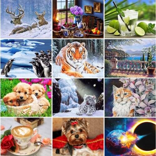 5d Diy Diamond Painting Animals Orange Drink White Leopard Horned Deer In The Snowy Antarctic Penguin Beautiful Landscape Poster