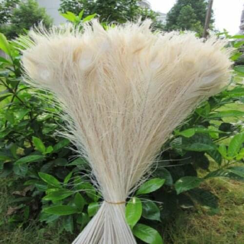 Wholesale 50pcs/lot 55-60cm/22-24'' beautiful natural white peacock feathers eyes for DIY clothes decoration