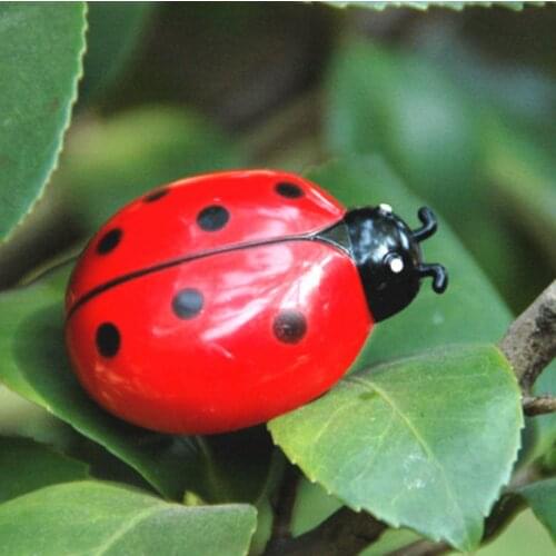 5x4cm Mini Electronic Interactive Walking Insect Pet Toy For Cat Cute Ladybird Beetle Shape Cat Dog Toys