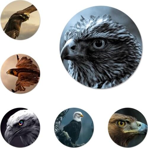 Eagle Badge Brooch Pin Accessories For Clothes Backpack Decoration gift 58mm