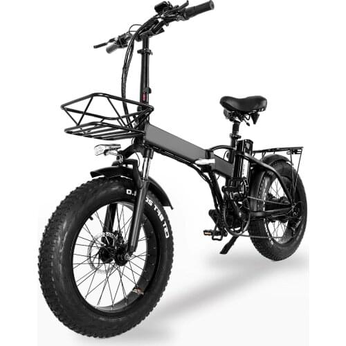 Electric bike 750W 48V15ah 45km/h Double battery electric mountain bike 4.0 fat tire Electric Bicycle beach E-bike