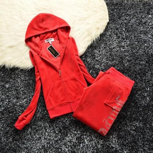 Spring / autumn 2020 womens warm velvet fabrics sportswear fashion velvet womens casual hoodie pants fat sister sportswear