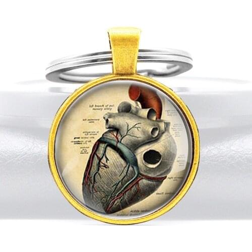 Fashion Heart Anatomy Design Glass Cabochon Key Chains Unique Men Women Steampunk Pendant Key Rings