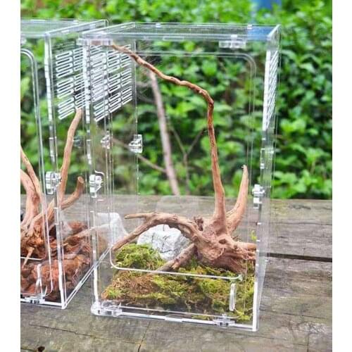 Acrylic Reptile Spider Lizard Scorpion Centipede Horned Frog Gecko Beetle chameleon Insect Breeding Box (15 * 15 * 25cm)