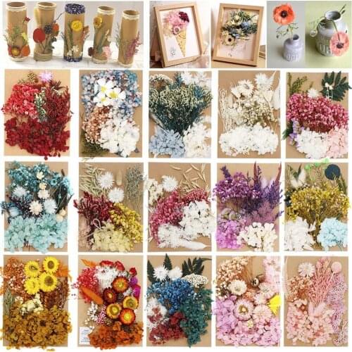 1PC Real Dried Flower Dry Plants For Aromatherapy Candle Epoxy Resin Pendant Necklace Jewelry Making Craft DIY Accessories