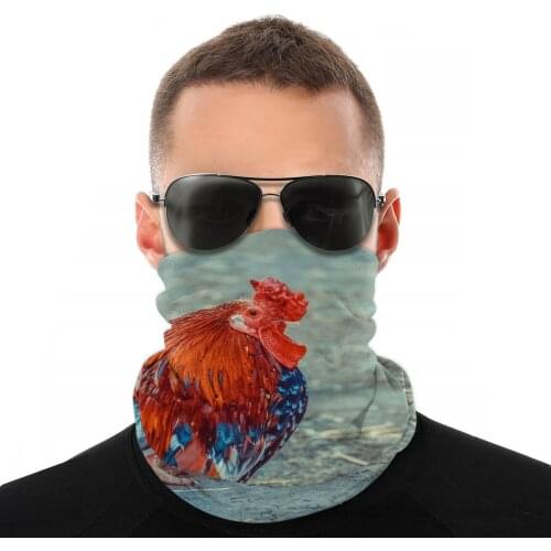 Hahn Animal Scarves Neck Face Mask Men Women Halloween Neck Warmer Neck Bandanas Polyester Headband Biking Hiking