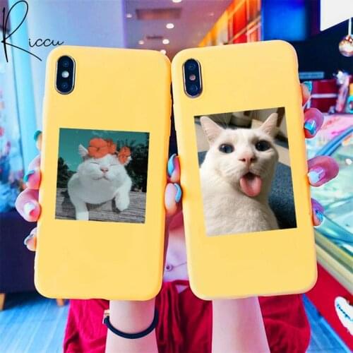Cute Cat Fashion Animal Phone Case for iPhone 8 7 6S Plus X 5S SE 2020 XR 11 12 Pro mini pro XS MAX Candy yellow Silicone Cases