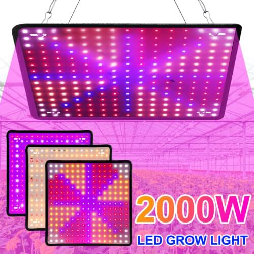 VBS Plant Lamps