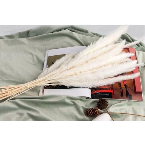 15PCS Natural Dried Pampas Grass Reed Flower Bunch Wedding Bouquet Decors Home Living Room Decoration C1