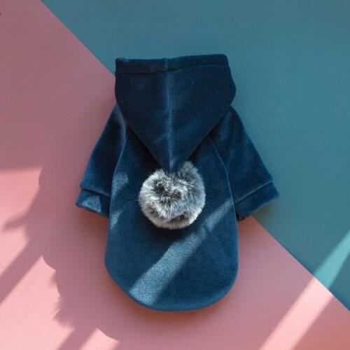 Dog Hoodie Winter Dog Clothes French Bulldog Clothing Pug Costume Welsh Corgi Coat Outfit Cat Puppy Yorkie Pomeranian Apparel