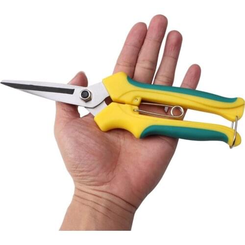 Bonsai Tool Straight Mouth Fruit Tree Scissors Orchard Dilute Fruit Scissors Gardening Tool SDF-SHIP