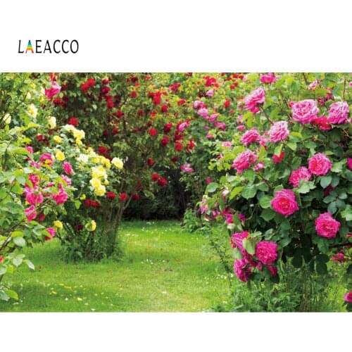 Laeacco Flowers Green Screen Garden Decor Photocall Photography Backgrounds Custom Photographic Backdrops Props For Photo Studio