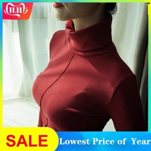 Soft Sweater Women Korean Style Skinny Winter Turtleneck Sweater Women Bodycon Basic Pullover Women Long Sleeve Pull Femme Top