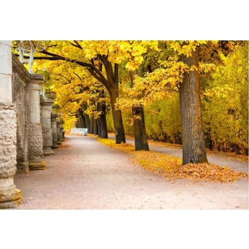 Autumn Maple Forest Backdrop Holiday Photography Background Celebration Photo Booth Studio Decor