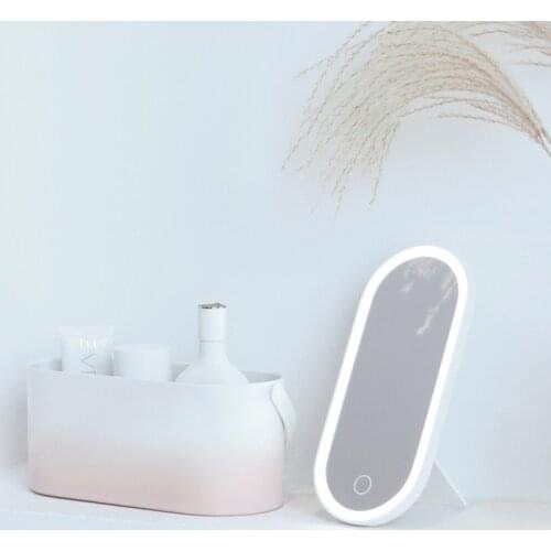 Portable Travel Makeup Tools Cosmetics Organizer With LED Lights Makeup Mirror 2 In 1 Portable Makeup Storage Box Case WJ528