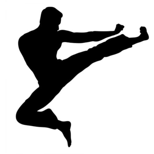 Karate Girl Car Sticker for Car Window Decal Fight Woman Kick Neat Gift Vinyl Black Belt Black/Sliver CL355