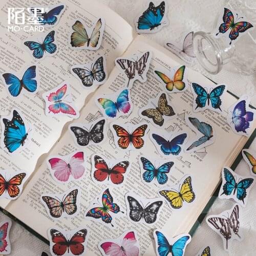 STA Scrapbooking Kits