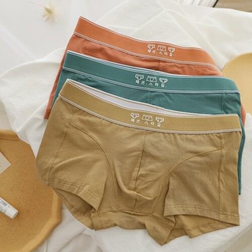 New autumn male Antibacterial pure cotton Boxers Men Underwear Korea Adult Plus Size Fashion casual men Underwear N6608