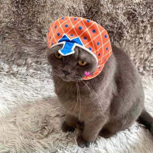 JoJos Bizarre Adventure Guido Mista Cosplay Hat Cartoon Dog Cat Warm Hat Pet Clothes Fashion Warm Pet Clothing Props