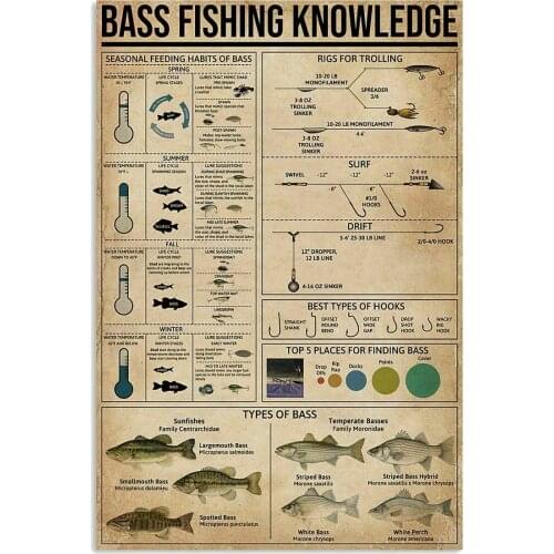Bass Fishing Knowledge Gift for Father Unframed Wall Decor Artwork Print Poster Metal Retro Vintage Tin Sign Bar Wall Decor