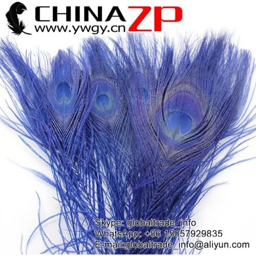 CHINAZP Factory www.ywgy.cn 500pcs/lot Top Quality Dyed Royal Blue With Big Eyes Peacock tail Feathers