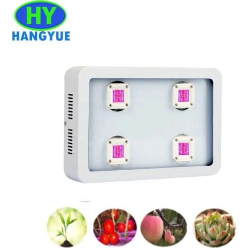 HANGYUE Professional Lighting