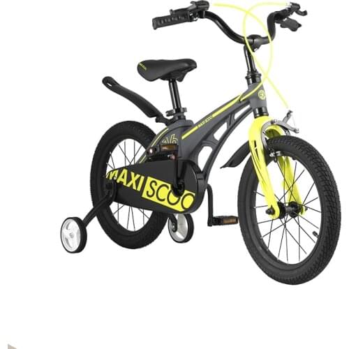 Maxiscoo Bicycles