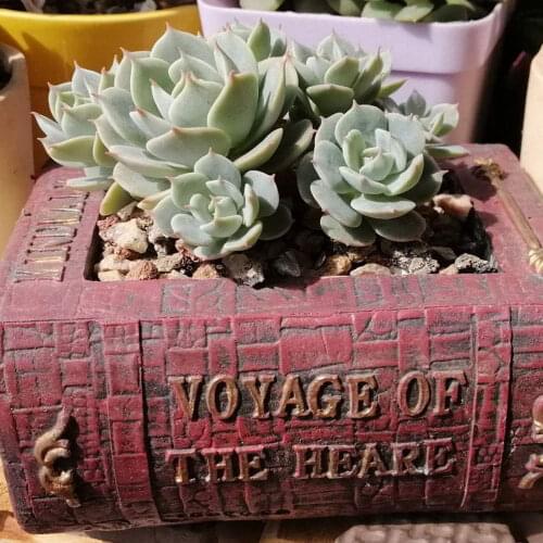 Book Shaped Flower Pot Succulents Container Tabletop Ornament for Home Office