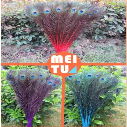 Free shipping manufacturers selling 22-24nch/55-60cm /100pcs / Peacock feather eye Color optional