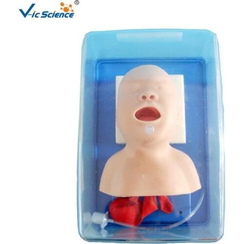 Neonatal tracheal intubation training model