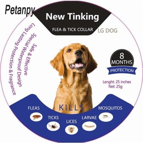 Summer Anti-insect Cat Dog Collar Anti Flea Mosquitoes Ticks Waterproof Cat Flea Collar Dog Accessories Pet Heal Caring Tool